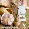 Forever Garlic-Thyme Odorless 100 Softgels - Supports Cardiovascular Health & Immune Function - Gluten Free