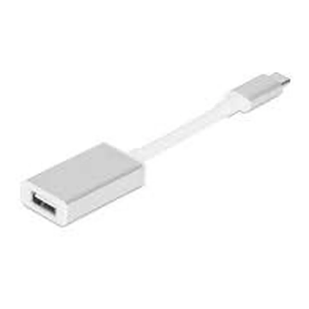 13ae5908e38a2fe9d053e1305ac0ab51-hi.jpg Apple USB-C to USB Adapter | MJ1M2