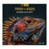 438a557d5cea4b10d8ebb78ca1723908-hi.jpg Nexus HDMI to HDMI Cable, 48Gbps Ultra High-Speed Transmission, Supports Up to 8K@60Hz, Nickel Plated Connector, Nylon Braided Cord, 2m Cable Lenth, Black
