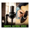 5f7c0fc8a08758dc8b7b4fcbc6848dc6-hi.jpg Shure SM4 Studio Recording Microphone