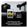 69e467d90e13cc3b747beef5d9dbdf78-hi.jpg Lexar Professional Gold Series CFexpress 4.0 Type A Card 256GB, Up to 1800MB/s, VPG400, 8K Video, Compatible with Sony Alpha & FX Cameras, Gold | LCAEXG4256G-RNENG