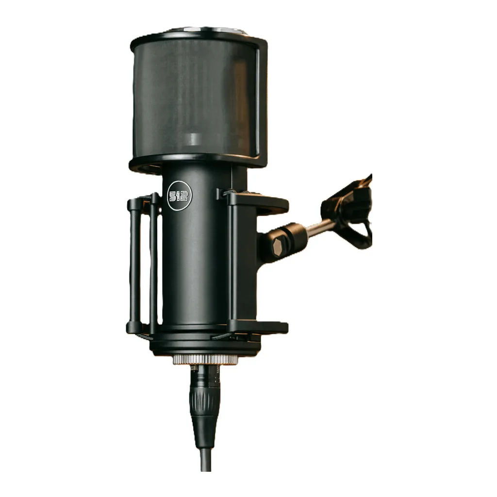 7ec00b61ecbd20eb785d99807242b92c-hi.jpg 512 Audio Skylight, Large-Diaphragm Condenser XLR Microphone