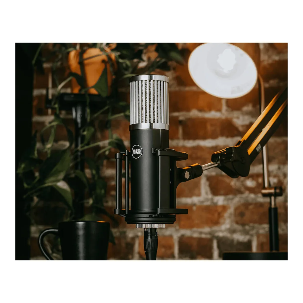 94bf19bf1420d9f5f69511f535f3a052-hi.jpg 512 Audio Skylight, Large-Diaphragm Condenser XLR Microphone