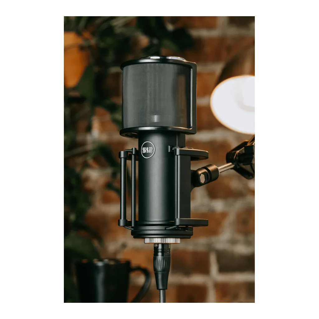 9bf3cd7f603b5b5108109772fa62398d-hi.jpg 512 Audio Skylight, Large-Diaphragm Condenser XLR Microphone