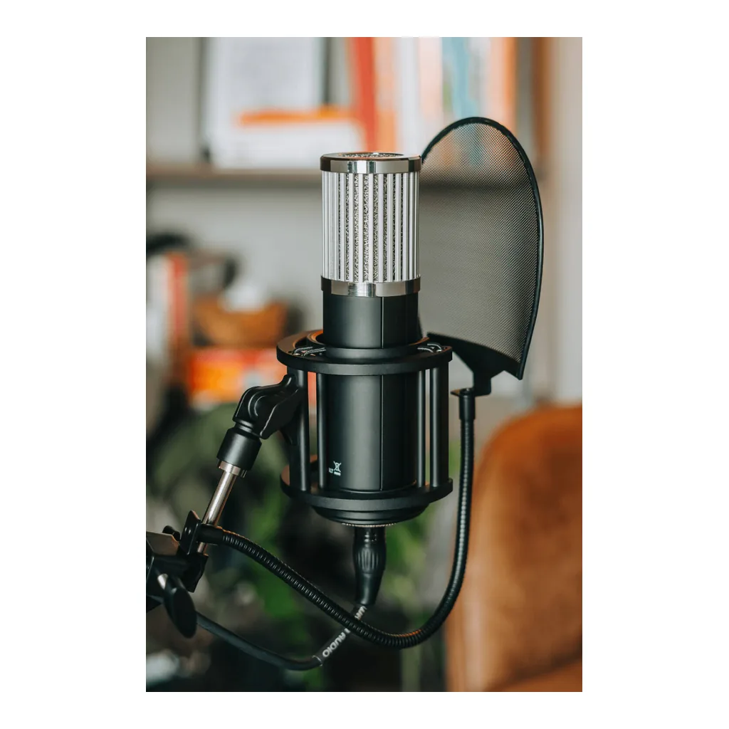 a317ef193327fd036712a5f1218bd297-hi.jpg 512 Audio Skylight, Large-Diaphragm Condenser XLR Microphone