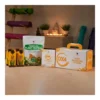 DX4™Body Balancing System 659 — official US product photograph DX4™Body Balancing System, manufacturer code 659, official US product photograph