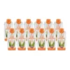 Forever Aloe Peaches® Minis — 12 × 330 mL pack Forever Aloe Peaches® Minis — pack of 12 cartons, 330 mL each, on a white background