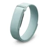 EditionSANI-Google-Fitbit-Air-Fog-01 Google Fitbit Air