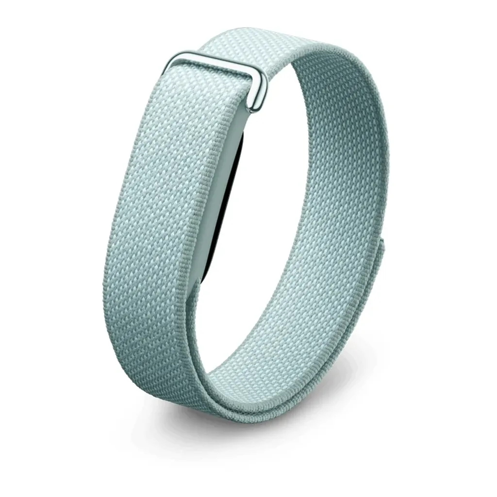 EditionSANI-Google-Fitbit-Air-Fog-01 Google Fitbit Air
