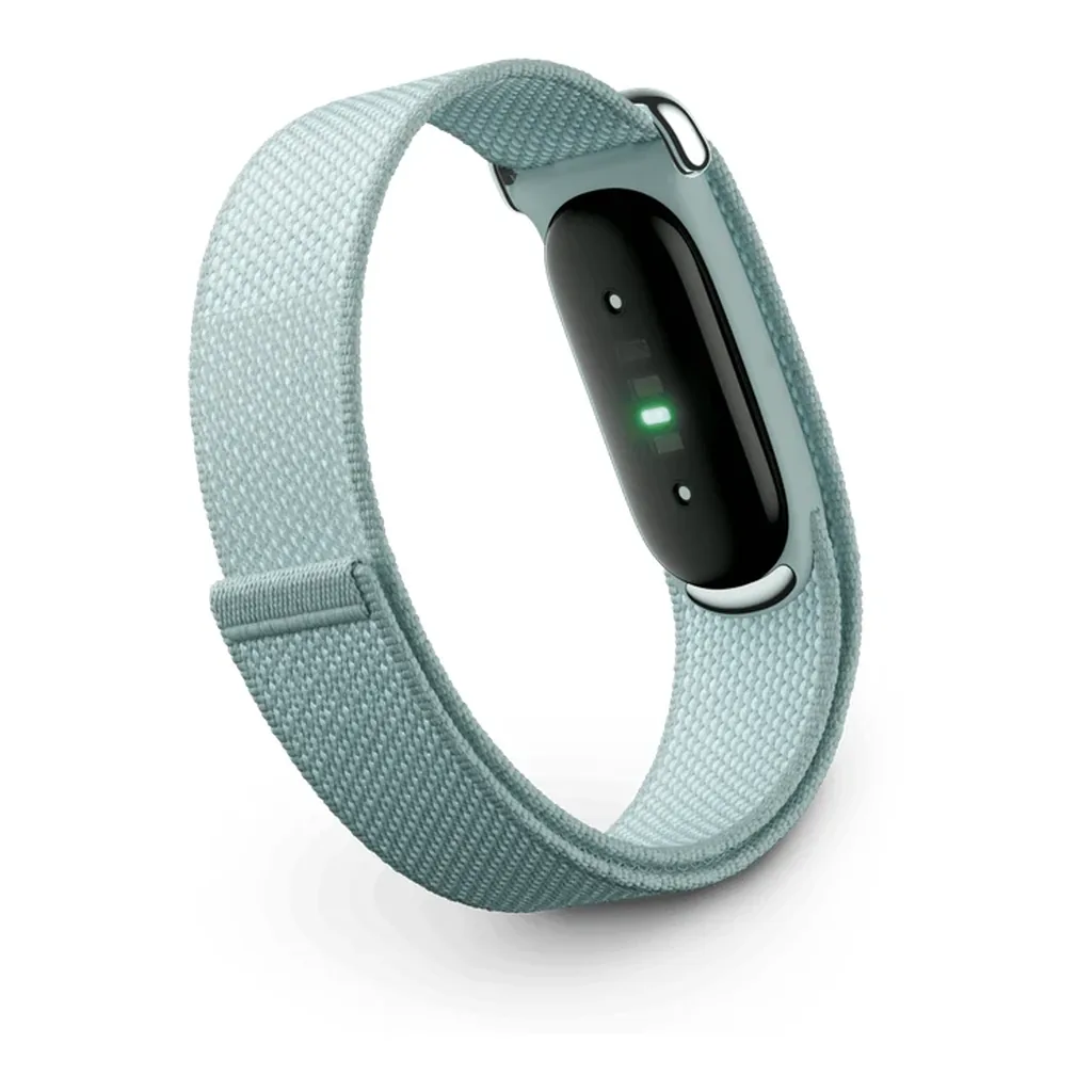 EditionSANI-Google-Fitbit-Air-Fog-03 Google Fitbit Air