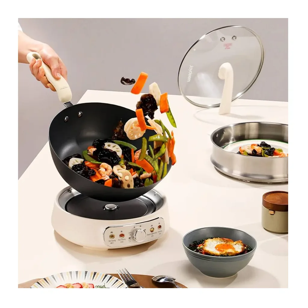 EditionSANI-JOYDEEM-DCG-B470-13038336-02 JOYDEEM DCG-B470 5-Quart Iron Electric Skillet
