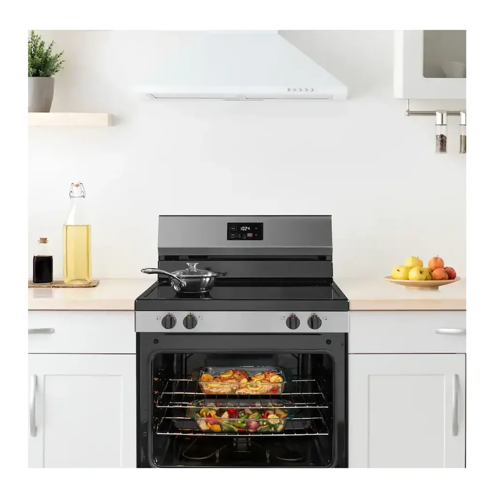 EditionSANI-NS-RGFE50SS26-6633684-02 Insignia - 30 in. Wide 4 Elements 5.3 Cu. Ft. Freestanding Electric Range with Dual-Size Burner and Storage Drawer