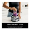 EditionSANI-Ninja-SS101-6421815-04 Ninja Foodi SS101 Smoothie Bowl Maker & Personal Blender – Silver