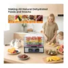 EditionSANI-OSTBA-FD-1019-Food-Dehydrator-with-5-Stainless-Steel-Trays-Silver-11151831-06 OSTBA FD-1019 Food Dehydrator with 5 Stainless Steel Trays — Silver