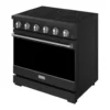 EditionSANI-RSE36PB-SS-6670699-02 Thor Kitchen RSE36PB-SS - 36 in. Wide 5 Elements Gordon Ramsay Series by Thor Kitchen 6.0 Cu.Ft Freestanding Electric Range with Stainless Handles - Black