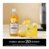 EditionSANI-SodaStream-Crafted-Mixers-Pineapple-Jalapeno-Drink-Mix-3-Pack-6599128-04 SodaStream Crafted Mixers Pineapple Jalapeno Drink Mix 3-Pack