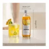 EditionSANI-SodaStream-Crafted-Mixers-Pineapple-Jalapeno-Drink-Mix-3-Pack-6599128-05 SodaStream Crafted Mixers Pineapple Jalapeno Drink Mix 3-Pack
